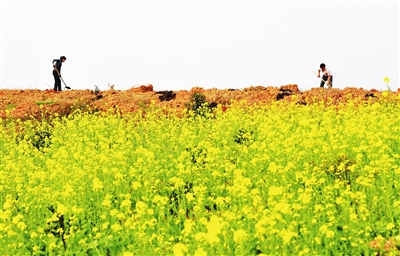 �����޳ǣ��Ͳ˻�������� ũ�����ر���æ