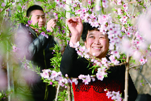 内蒙古科右前旗:人勤春早花更俏