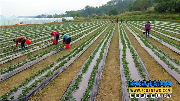 �������Ǹ��з������������ִ����߲�ҵ���ط�������