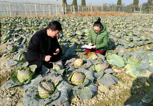 �㽭������ɽ����ǰ�߲˰�ȫ��ⲻ��и