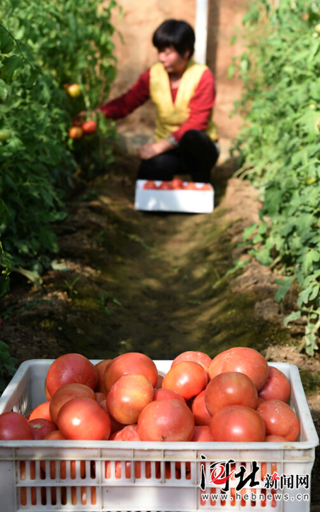 �ӱ��Ϲ��У����ڴ����� ����ũ��æ