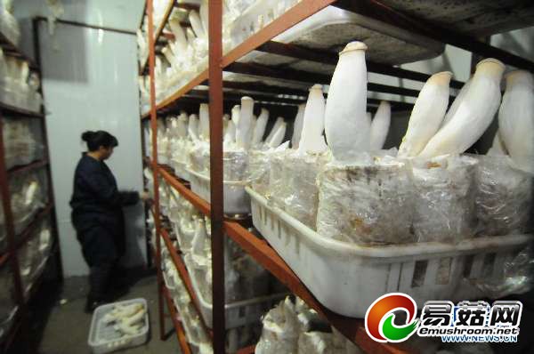 ������ĵ���������ӱ���½������