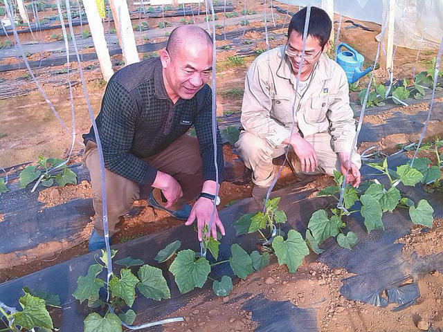 �����������������ƹ㡰ˮ���Ͷ��ϡ�