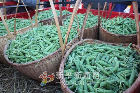 ������ƽ���������̺��㶹��Ϊũ�����յġ��𶹶���4