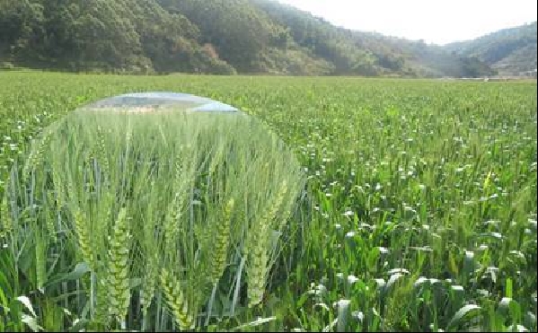 ����������������С���������