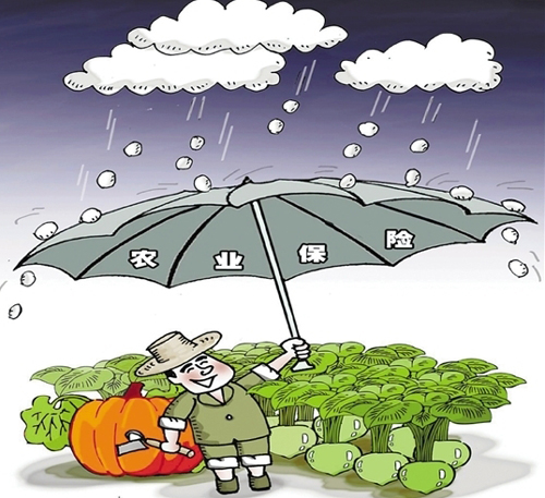 �㽭��̨ȫ���׸��ط���ũ�հ취