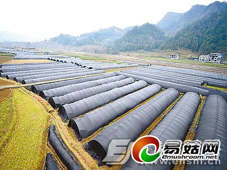 ̷ٰӴ˹ֲǾ80Ķ ԤƲֵ100Ԫ