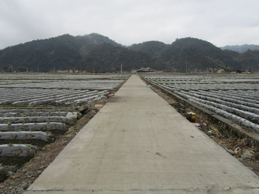 �������������Ա��ձ�׼ũ���չ˳��2