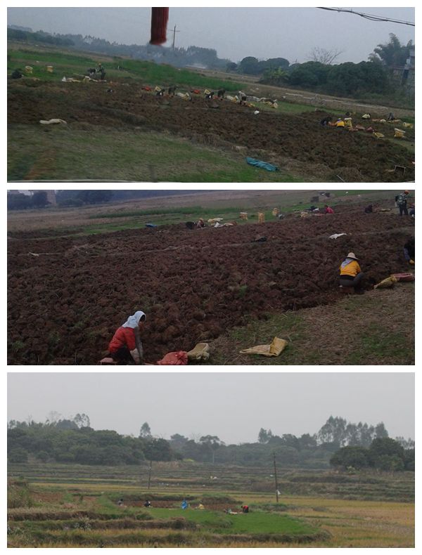 ��������и���������ϲ�����