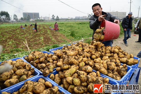 ���������գ� ��ֲ��ϲ��ü��