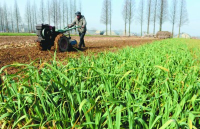 安徽:人勤春来早