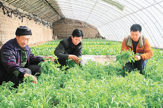 ���ඨ���а������ۼƽ����չ�����4300��Ķ�����ϴ���8000��Ķ