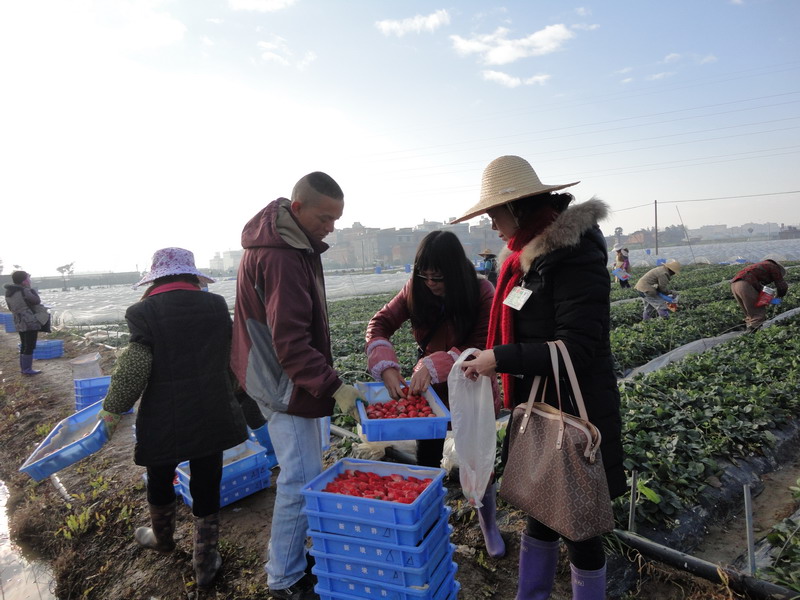 ������Ϫ�к�������ǿ��ݮ������ȫ�������