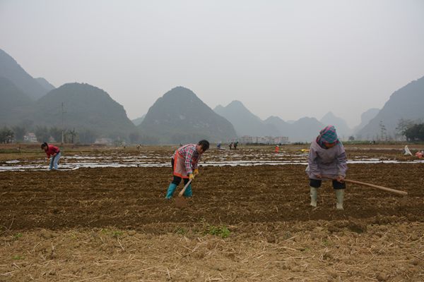 ���������º���ũ�񴺸�����æ