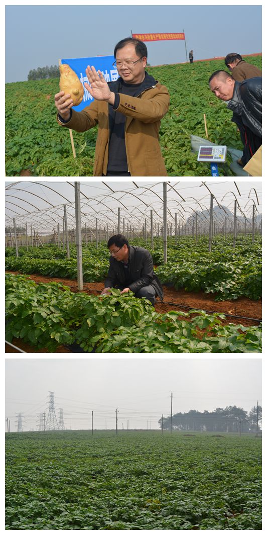 ����������������������ʷ׳�