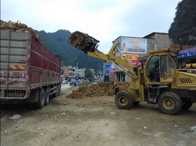 广西崇左把荷乡木薯喜迎丰收年