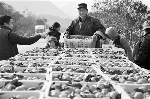 ����������ɰ���ٴ���������·��