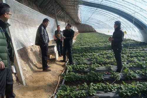 ɹŰ׶пչڼ߲˴ﰲȫҩ