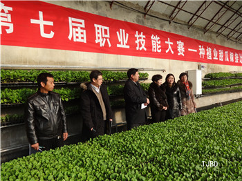 бְٰ߽ҵֲҵϼ޽ӱ