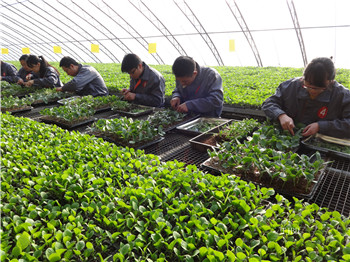 бְٰ߽ҵֲҵϼ޽ӱ2