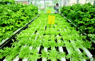 贵州省绿色农业提档快进 组组收入数据精彩纷呈