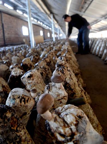 2��10�գ�ũ���ڹ������ũҵ�����ڲ鿴ʳ�þ��ĳ��ơ�