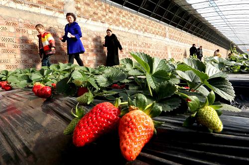 214գο½Ȫũִũҵ԰Ĳݮιۡ