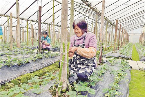 �����ɽ���Ļ�����������