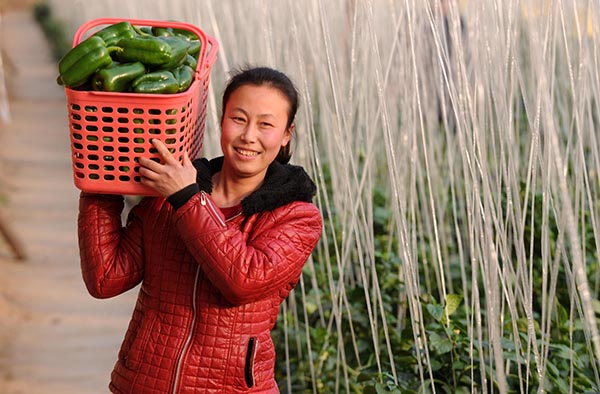 �ӱ����壺������ɫƷ��ũҵ ���񾩽��г�