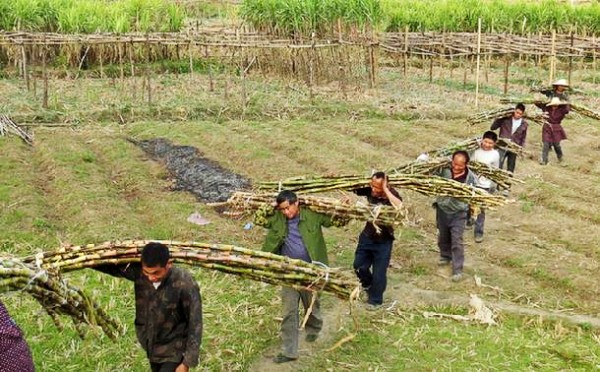 ��ũ�����ո���