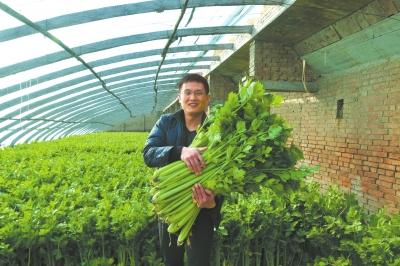 ���������ش����۲�ϲ�����