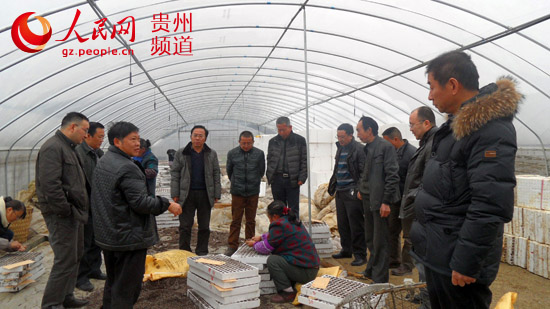 ʡũҵ쵼רҵؼָȫʡƷչʾƽﱸ