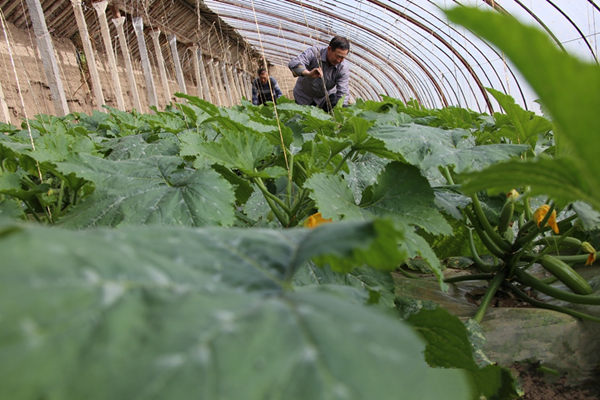 ������Ҵ����������ʩũҵ��ũ�����ϡ����롱