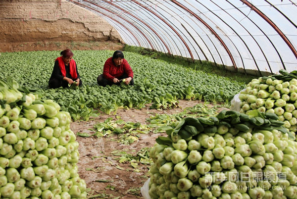 ��Ҵ���������Ҷ��������´����������ջ��Ϻ��ࡣ