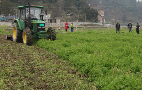 �����ϵ��ذ�Ķ�������߲�������Ŀ���ء�����е��������æ