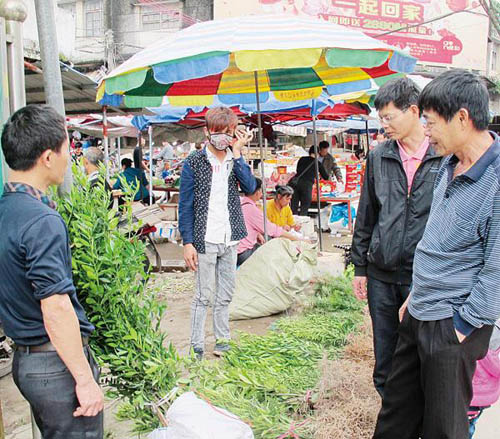 ������������·��Ⱥ�ڿ�չ������ֲ