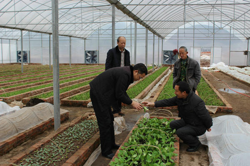 �Ĵ��������罨���ִ�ũҵ�Ƽ�ʾ��԰