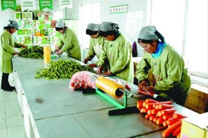 建国家现代农业示范区 辽宁辽阳市扎实迈出第一步