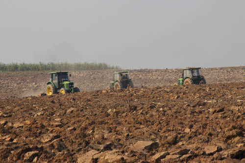 广西防城港市领导到上思县检查糖料蔗“双高”生产工作2