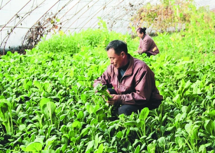 ������ĵ���������ѽ���15��Ķ�����߲���������