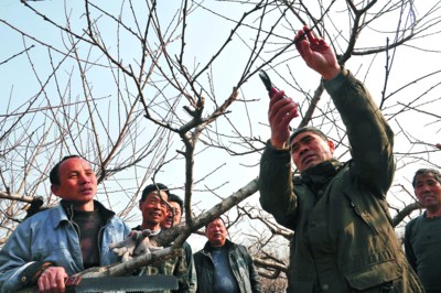 2��26�գ����������۳���������´���������԰�ũ����Ա�����ũ���������޼�������