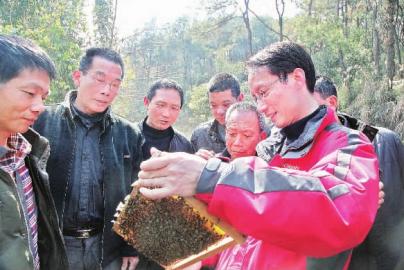 福建沙县:举办农民中蜂养殖培训