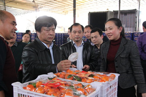 �����������쵼����ũ��Ʒ���۹���