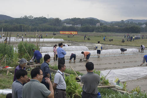 ���������ٿ�2015�괺�������ֳ���