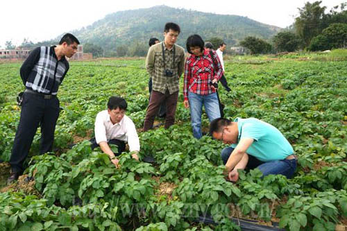 �������ഴ���Ŷ���ϯר���ʶӵ����ݿ������