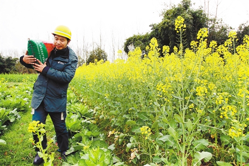 ������ƽ����ũ�ʻ��ɡ�������