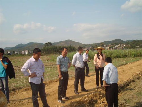 ����������ũҵ���쵼���Ϫ�����Ź��߲�ҵ�����ģ�ʾ��������