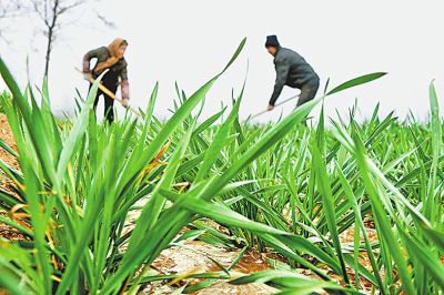 ����������������������� Խ����С������Ϻ�