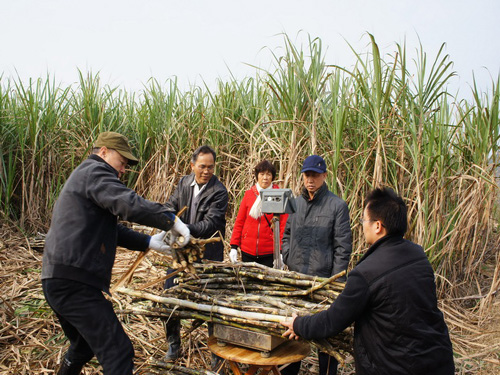 ����ũ��Ժ����������������Ʒ������ʾ��ͨ�����������