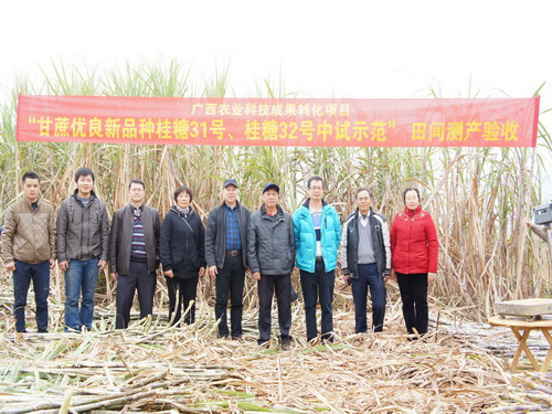 ����ũ��Ժ����������������Ʒ������ʾ��ͨ�����������2